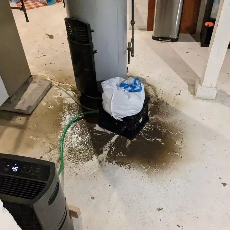 Sewage Backup Cleanup Service in Adams County, PA